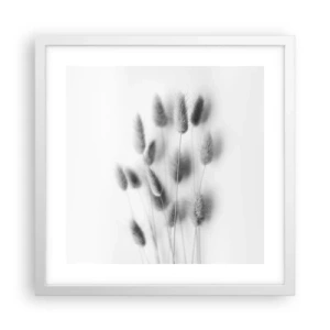 Plakat w białej ramie - Jej puszystość trawa - 40x40 cm