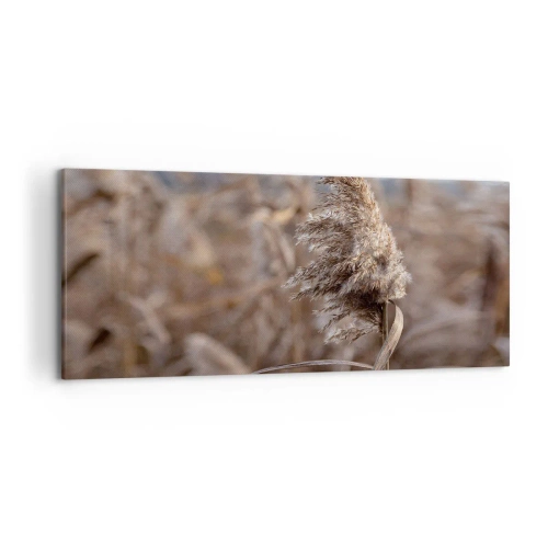 Obraz na płótnie - Delikatne trawy w odcieniach beżu na tle natury - 120x50cm - Czas odlecieć z wiatrem - Nowoczesna dekoracja ścienna do salonu i sypialni ARTTOR