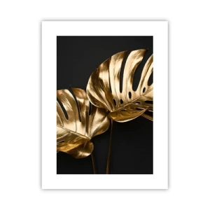 Plakat - Skarby natury - 30x40 cm