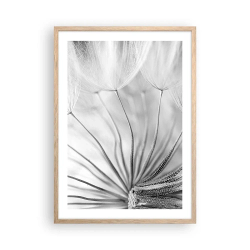 Plakat w ramie jasny dąb - Dmuchawce, latawce - 50x70 cm