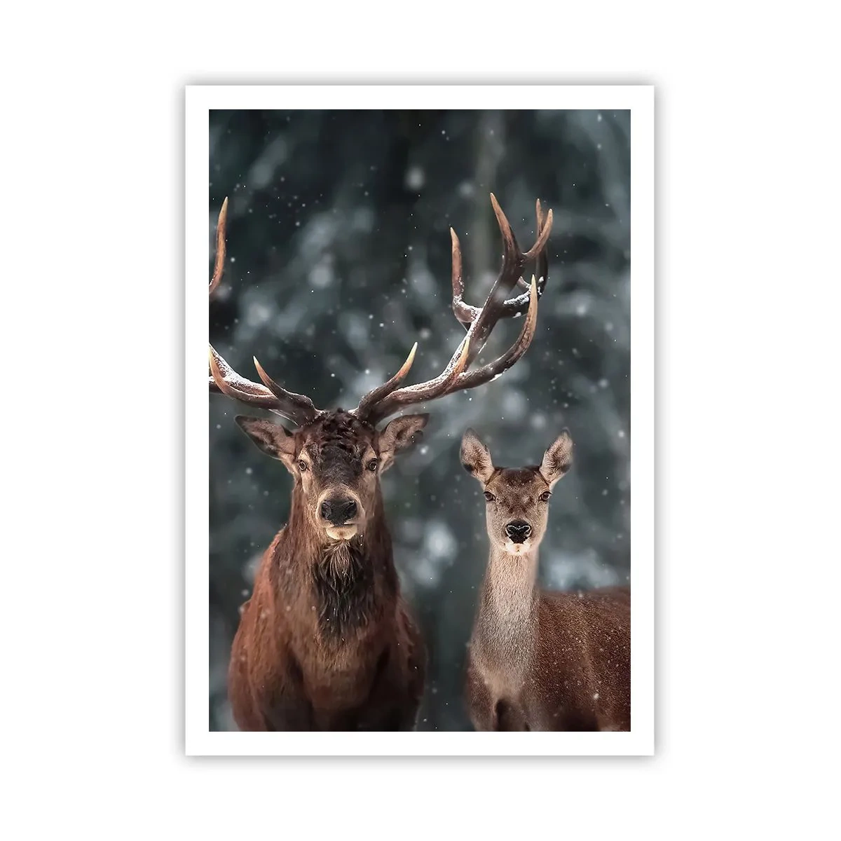 Plakat - Pan lasu z małżonką - 70x100 cm