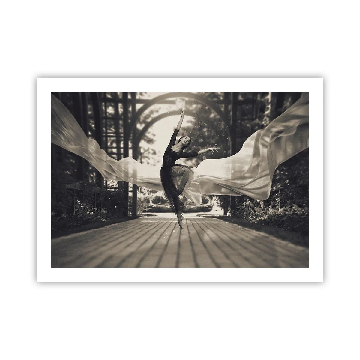 Plakat - Taniec ducha ogrodu - 70x50 cm