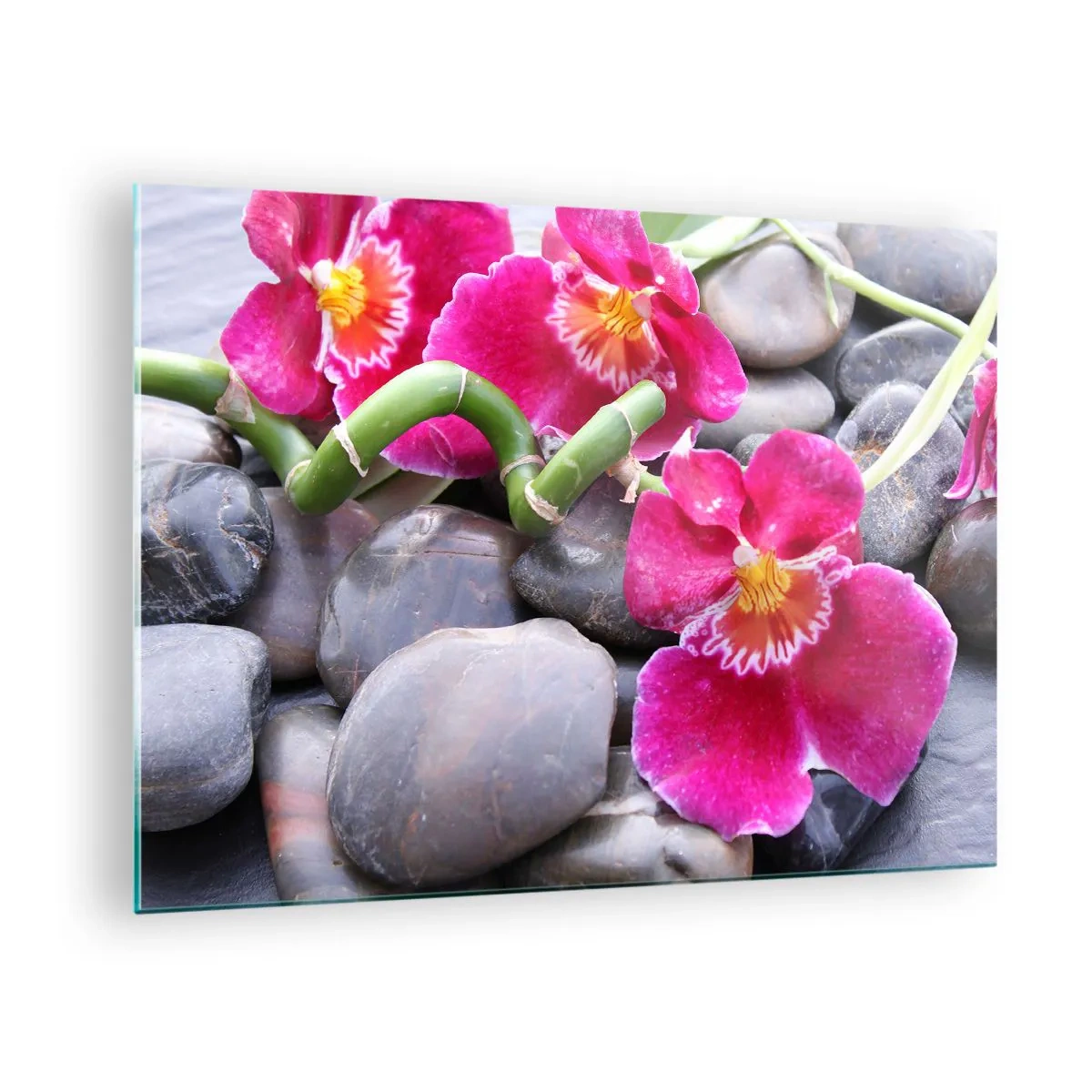 Obraz na szkle - Różowe orchidee z bambusem na kamieniach - 70x50cm - Chłód i żar - Nowoczesna dekoracja ścienna do salonu i sypialni ARTTOR