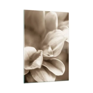 Obraz na szkle - Zbliżenie kwiatów w delikatnej sepii o miękkich konturach - 80x120cm - Łagodne jak uśmiech - Nowoczesna dekoracja ścienna do salonu i sypialni ARTTOR