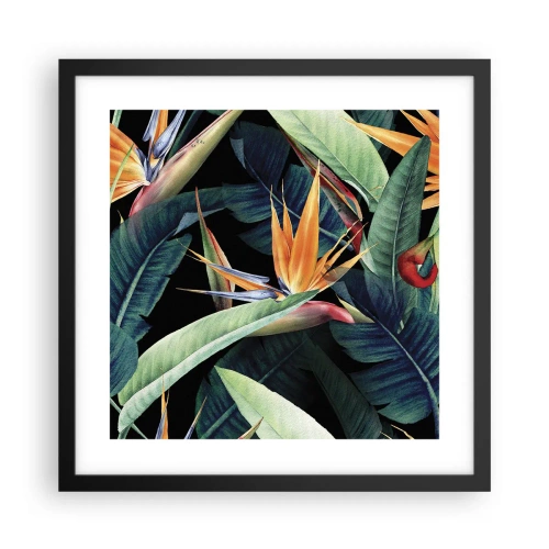 Plakat w czarnej ramie - Płomienne kwiaty tropików - 40x40 cm