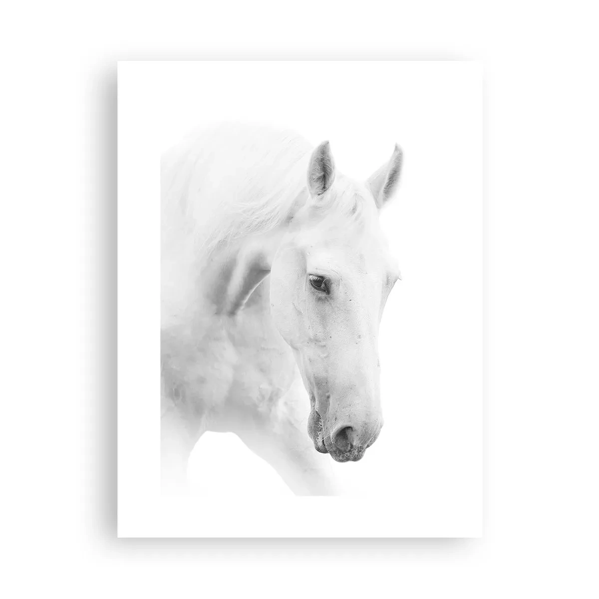 Plakat - Czy to jest przyjaźń…? - 30x40 cm