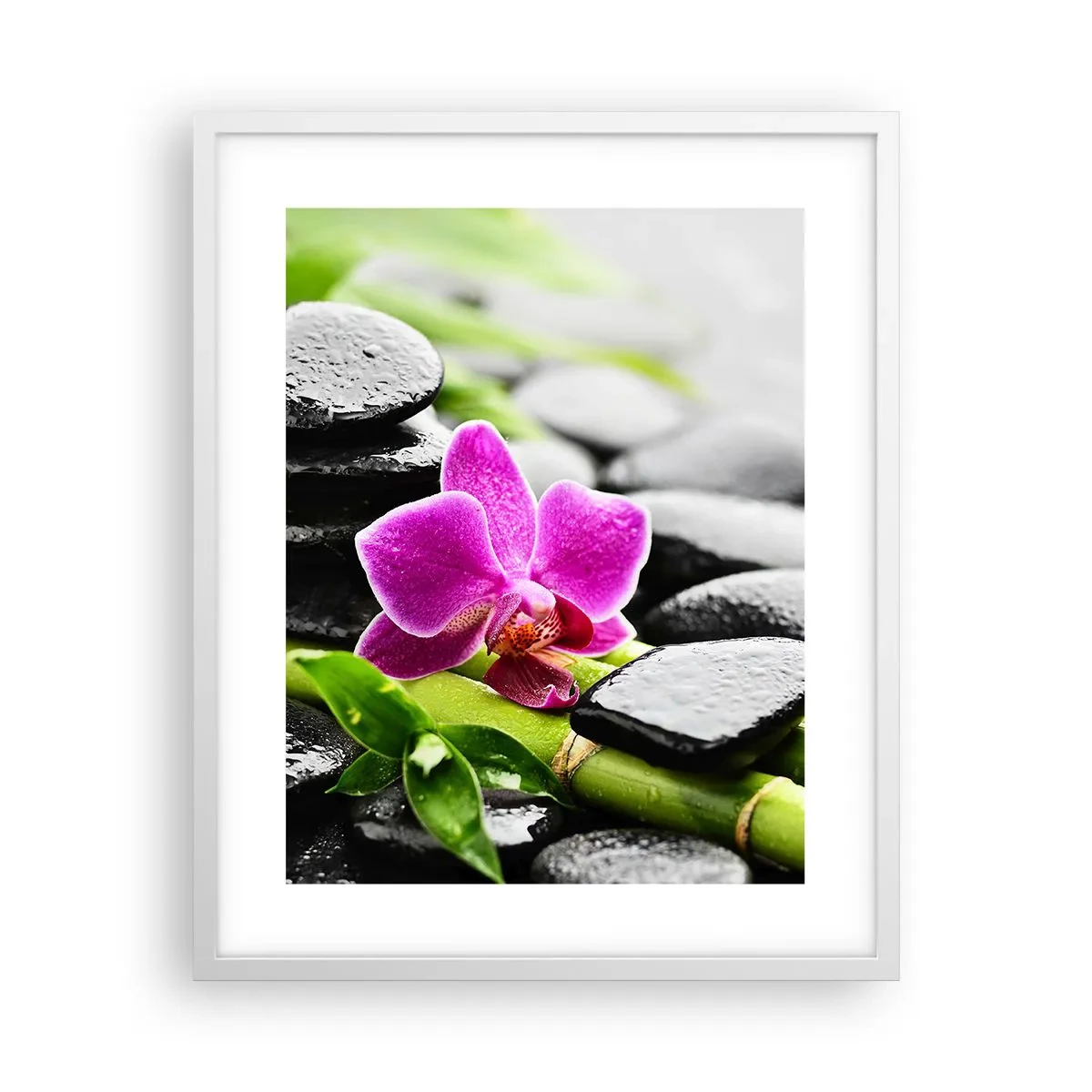 Plakat w białej ramie - W spokojnej równowadze - 40x50 cm