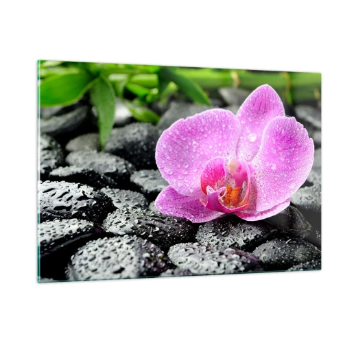 Obraz na szkle - Różowy kwiat orchidei na mokrych czarnych kamieniach - 120x80cm - Jak otwarte serce - Nowoczesna dekoracja ścienna do salonu, kuchni i sypialni ARTTOR