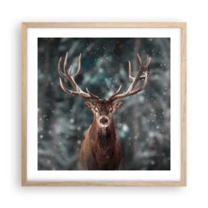 Plakat w ramie jasny dąb - Król lasu ukoronowany - 50x50 cm