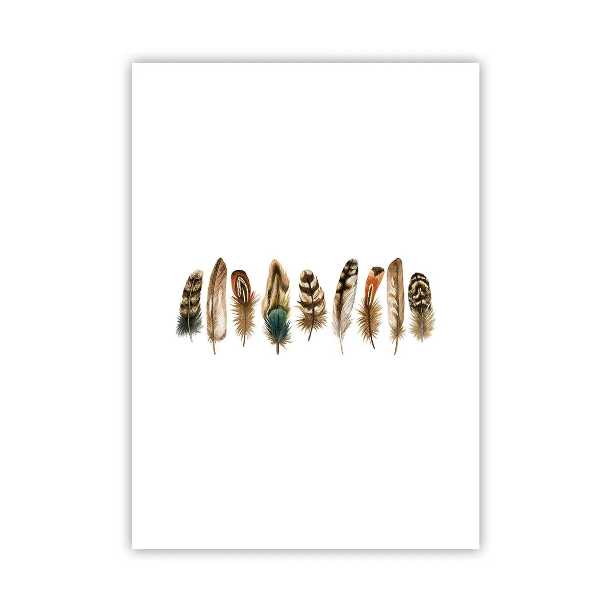 Plakat - Kolorowe pióra w rzędzie - 50x70cm - Pierzasta wariacja - Nowoczesna dekoracja ścienna do salonu, kuchni i sypialni ARTTOR