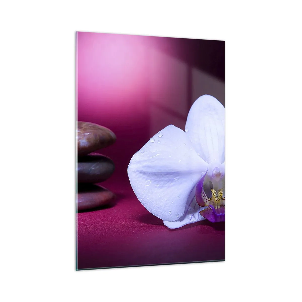 Obraz na szkle - Biała orchidea i kamienie na tle fioletowego światła - 50x70cm - Studium świeżości w fiolecie - Nowoczesna dekoracja ścienna do salonu, kuchni i sypialni ARTTOR
