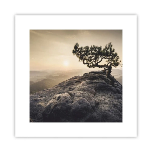 Plakat - Życie zawsze zwycięża - 30x30 cm