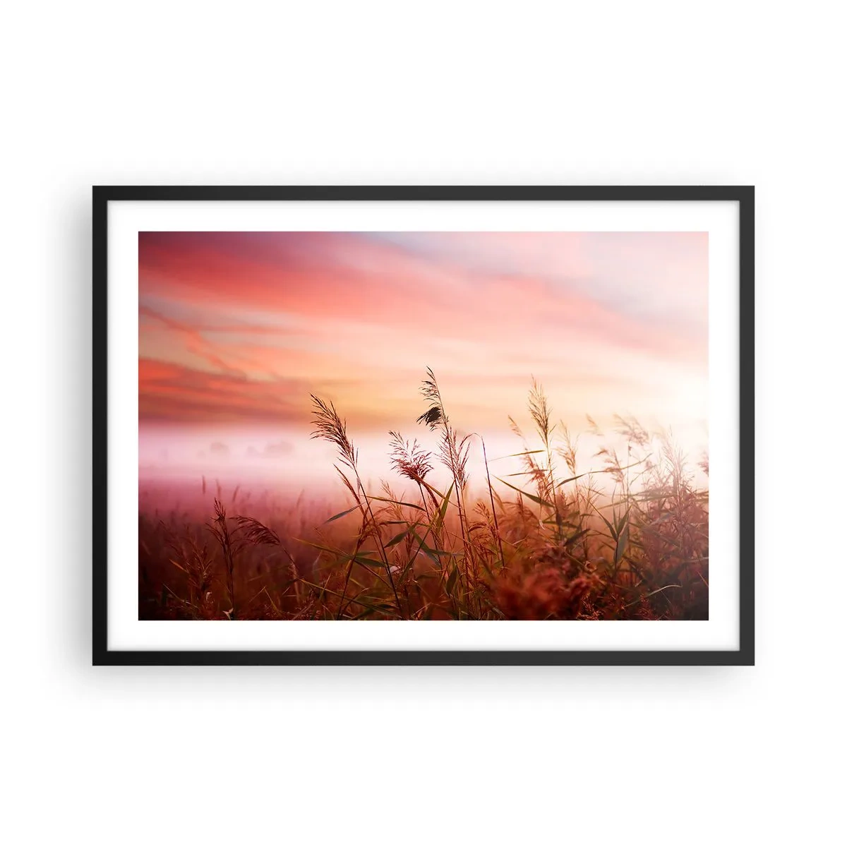 Plakat w czarnej ramie - Pole traw na tle malowniczego zachodu słońca - 70x50cm - Latawce, dmuchawce, wiatr - Nowoczesna dekoracja ścienna do salonu i sypialni ARTTOR