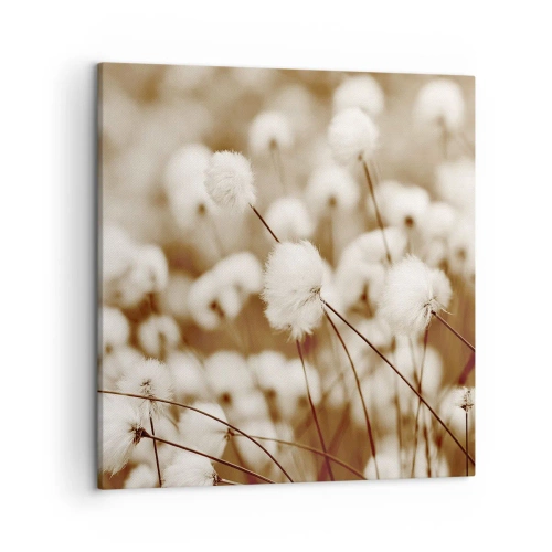 Obraz na płótnie - Puszysty łan - 50x50 cm