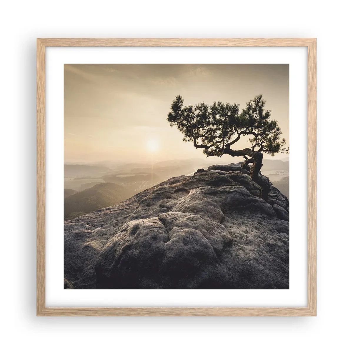 Plakat w ramie jasny dąb - Życie zawsze zwycięża - 50x50 cm