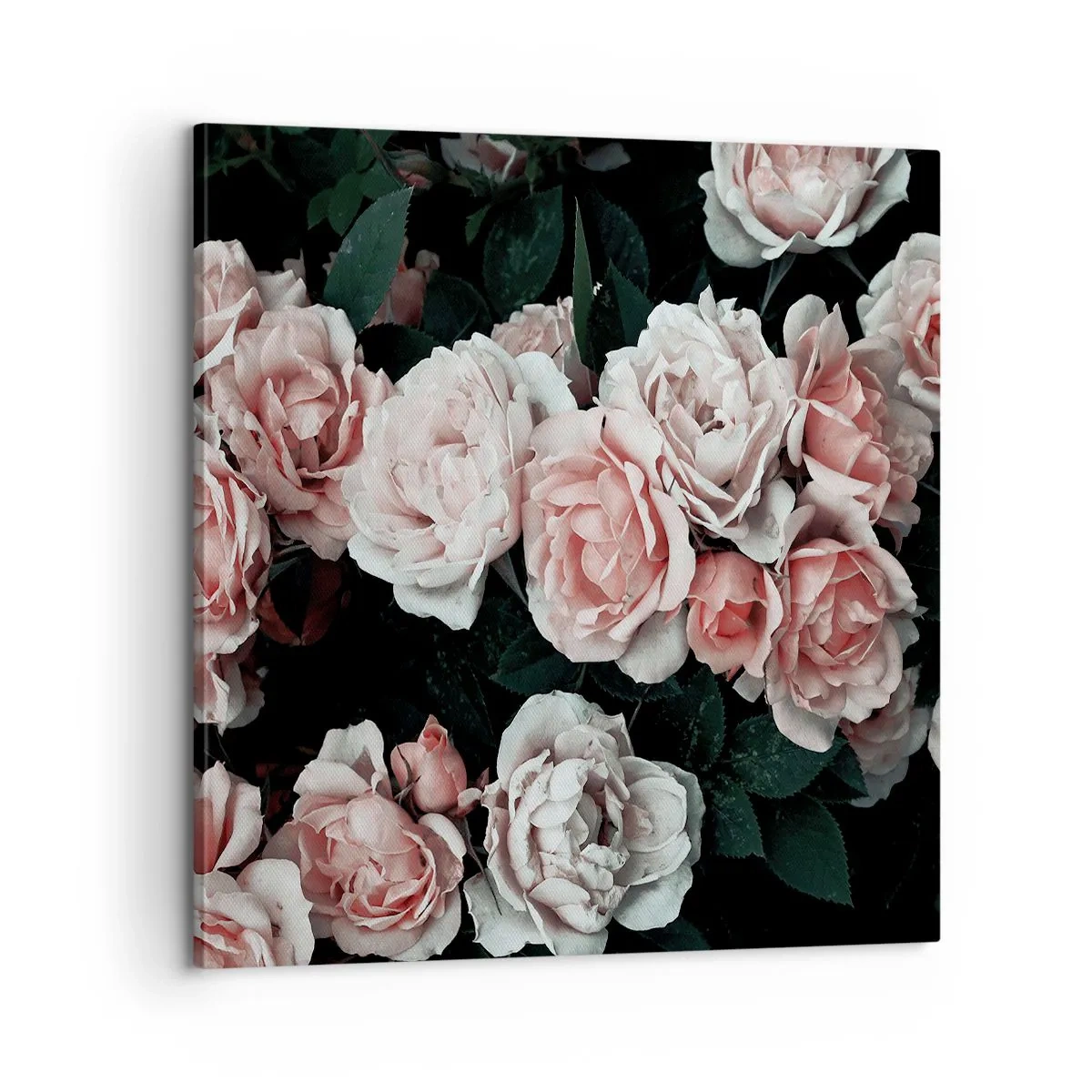 Obraz na płótnie - Różany ansamble - 60x60 cm