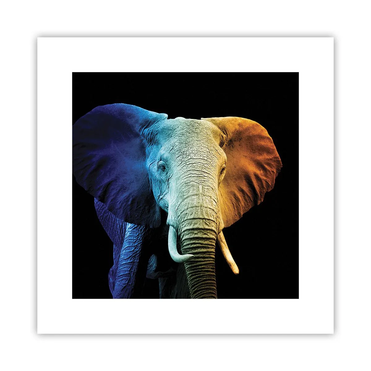 Plakat - Ekscentryk, nie dziwak - 30x30 cm