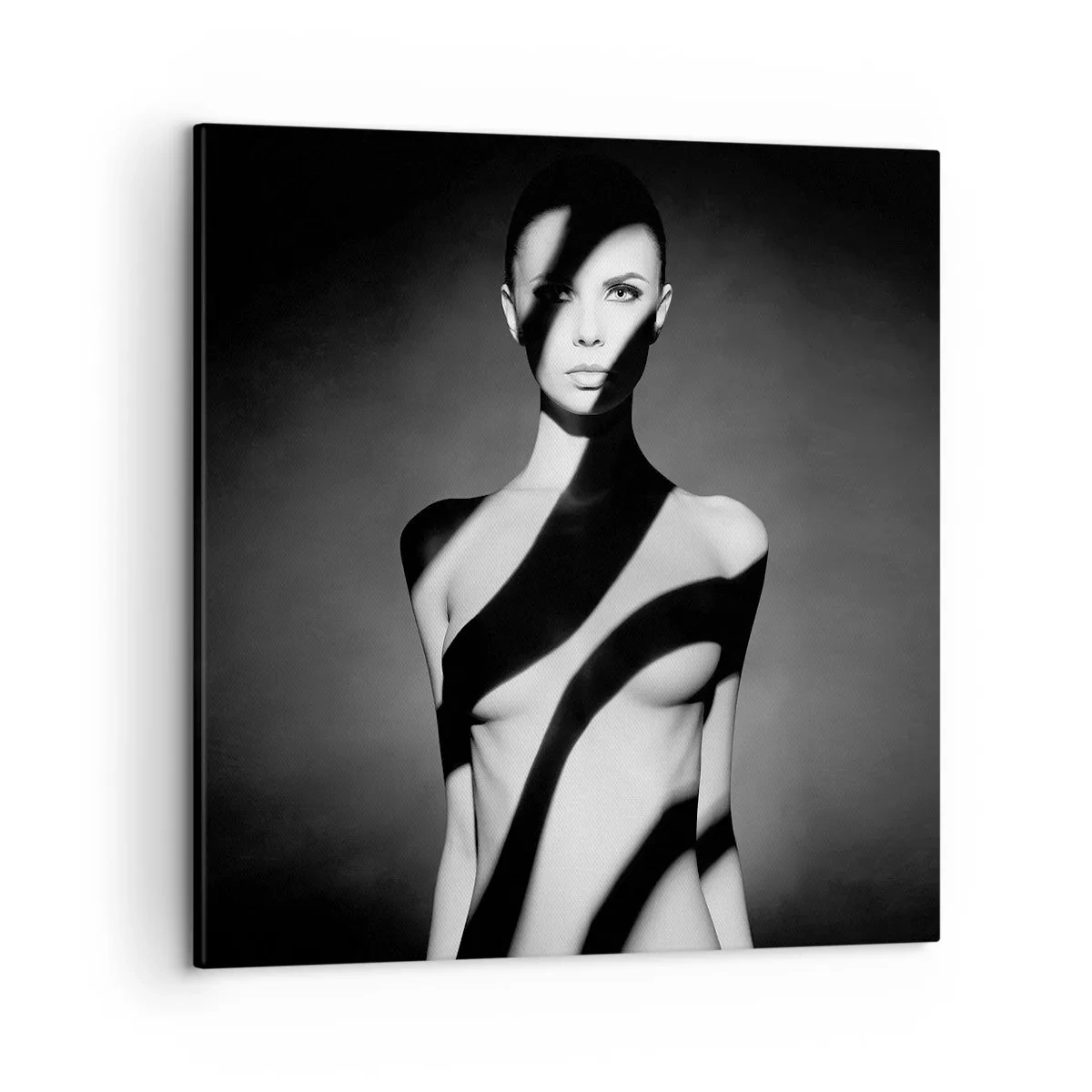 Obraz na płótnie - W blasku i w cieniu - 50x50 cm