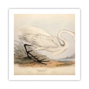 Plakat - Pani na szuwarach - 50x50 cm