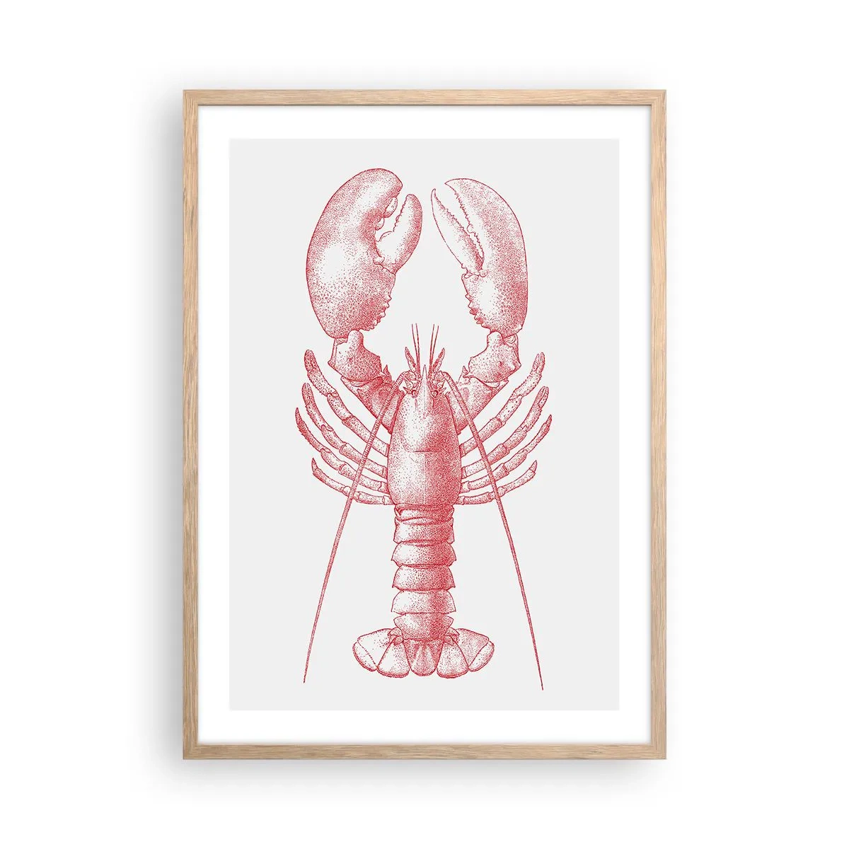 Plakat w ramie jasny dąb - Homar godny Homera - 50x70 cm