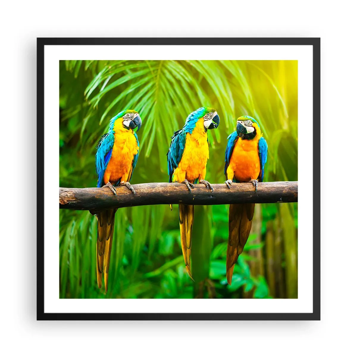 Plakat w czarnej ramie - A słyszałaś, że ona…? - 60x60 cm