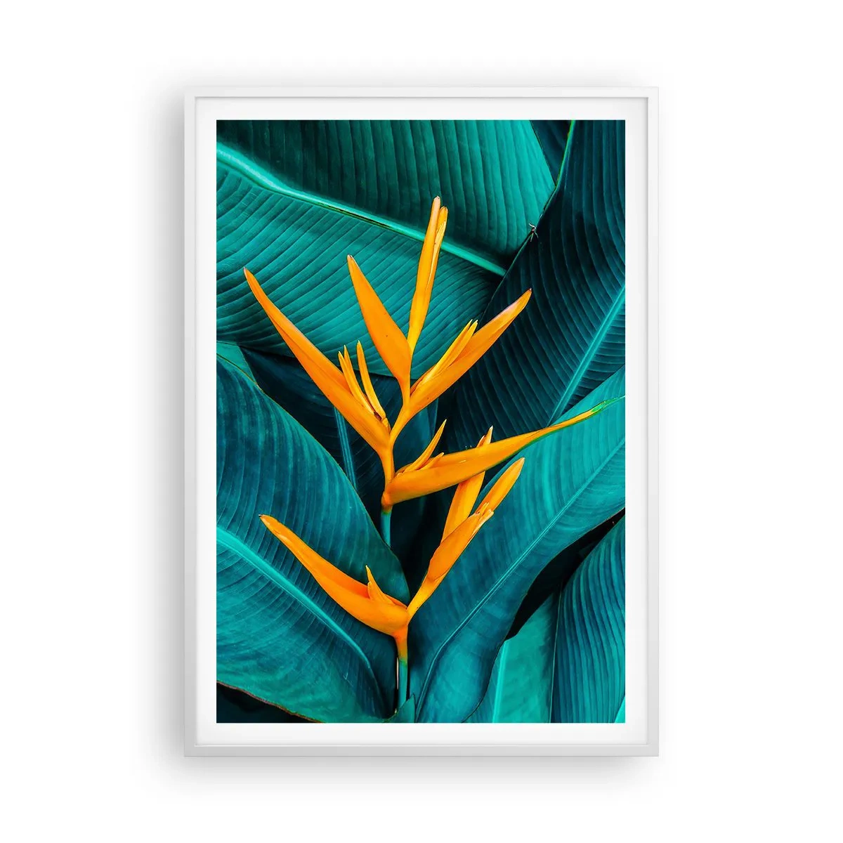 Plakat w białej ramie - Kwiat Edenu - 70x100 cm