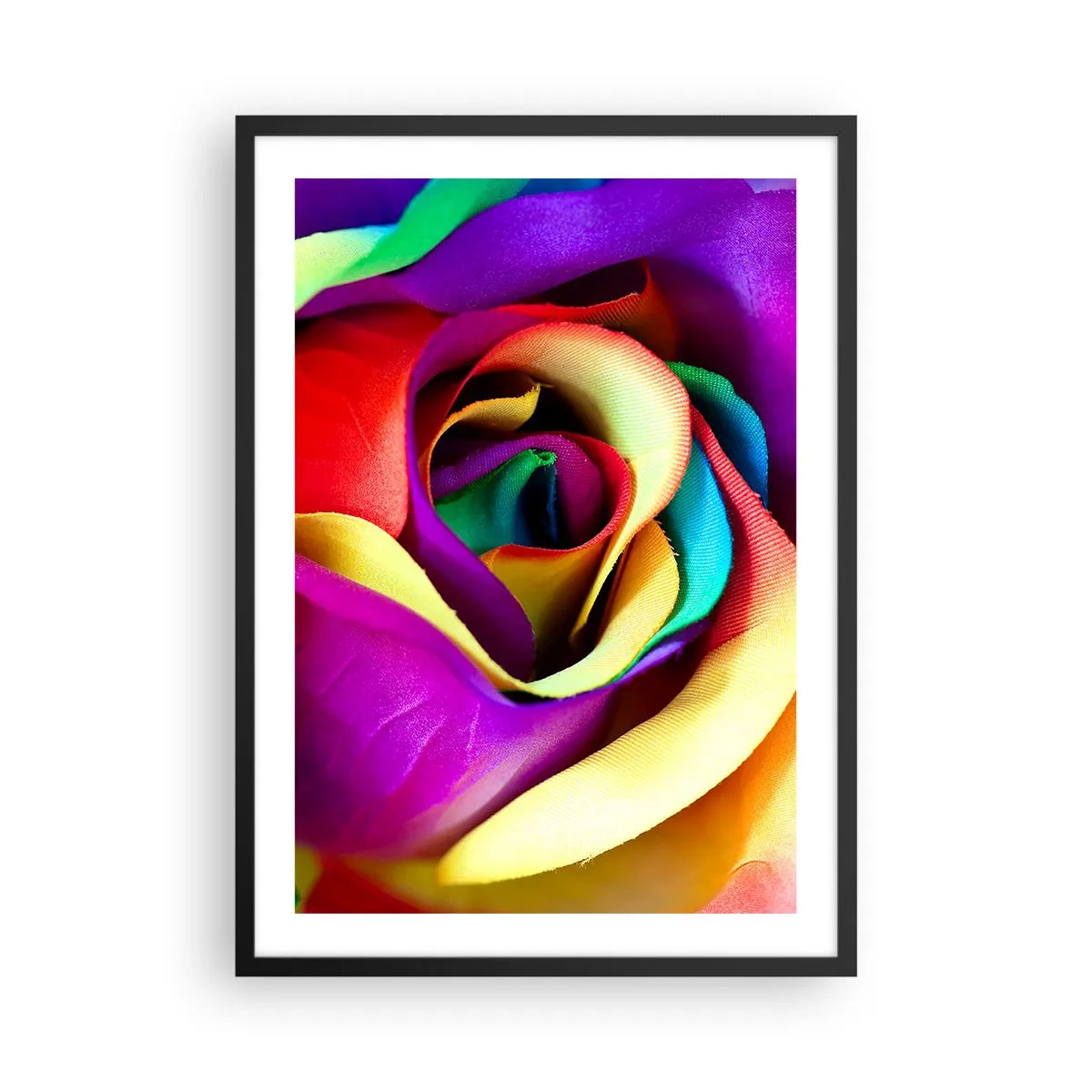 Plakat w czarnej ramie - Kolorowa róża w zbliżeniu z tęczowymi płatkami - 50x70cm - To niemożliwe - Nowoczesna dekoracja ścienna do salonu i sypialni ARTTOR
