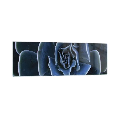 Obraz na szkle - Zbliżenie na rozetę zielonego sukulentu - 160x50cm - Kwiat pustyni - Nowoczesna dekoracja ścienna do salonu i sypialni ARTTOR