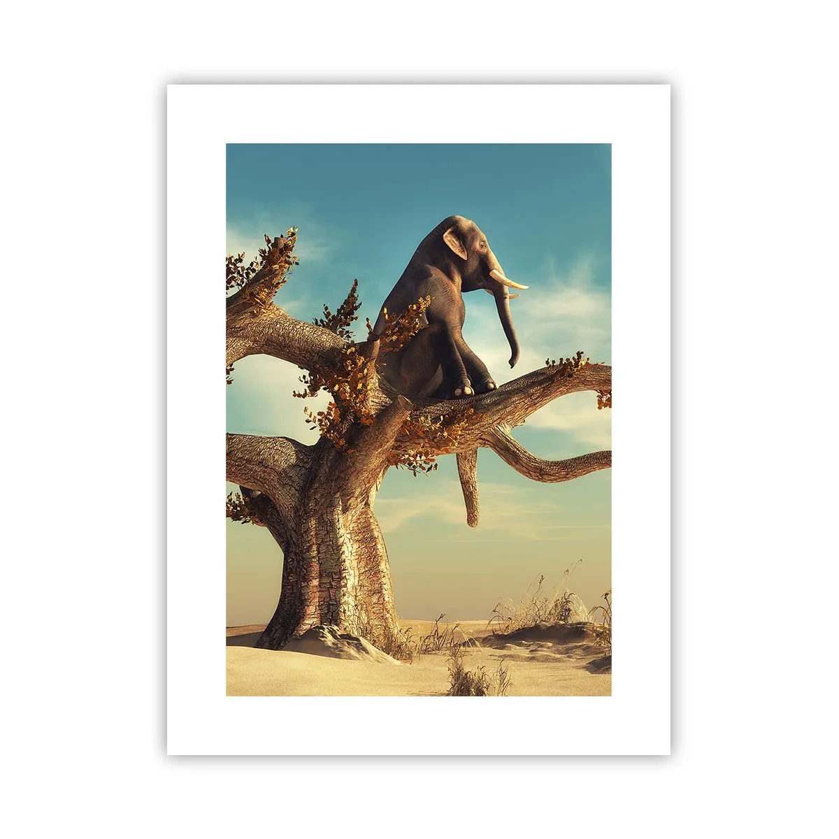 Plakat - Nowy punkt widzenia - 30x40 cm