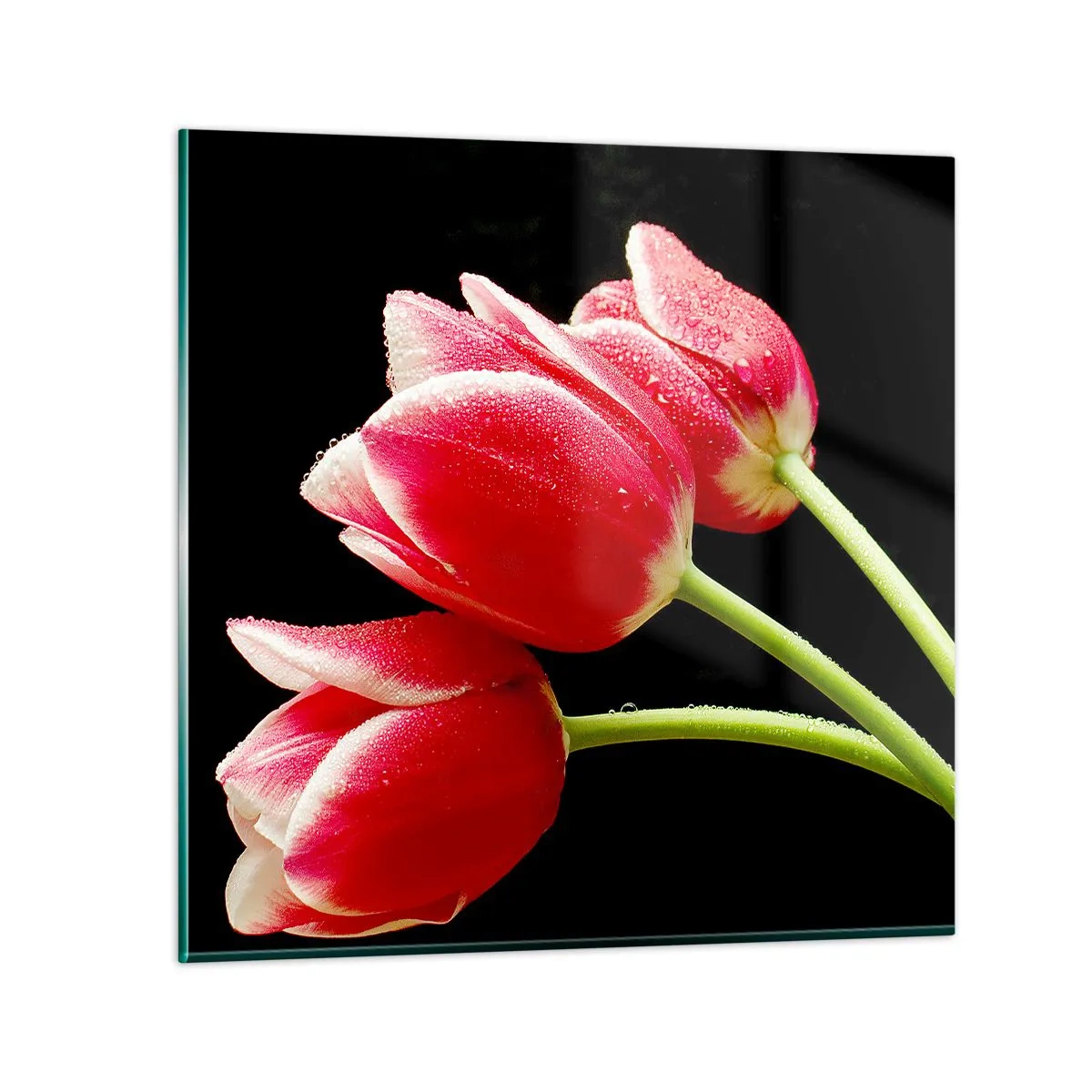 Obraz na szkle - Obietnica czystej miłości - 40x40 cm