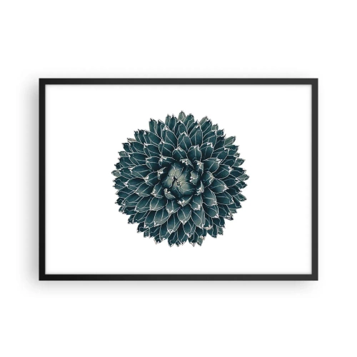 Plakat w czarnej ramie - Symetryczna roślina sukulenta na białym tle - 70x50cm - Gwiazda pustyni - Nowoczesna dekoracja ścienna do salonu i sypialni ARTTOR
