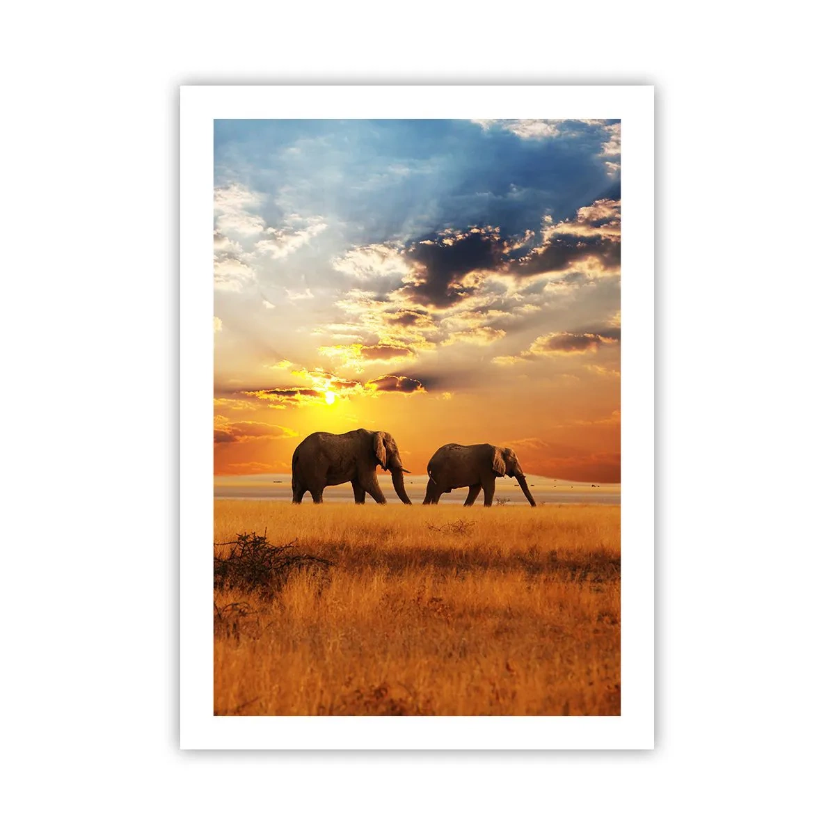 Plakat - Słonie wędrujące w blasku zachodzącego słońca - 50x70cm - Rodzinna przechadzka - Nowoczesna dekoracja ścienna do salonu, kuchni i sypialni ARTTOR