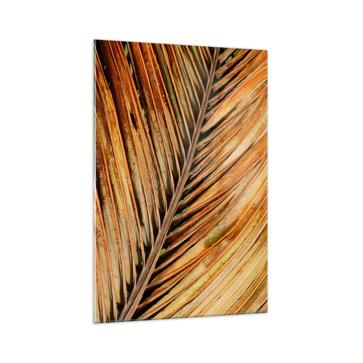 Obraz na szkle - Zbliżenie na suchy liść palmy w ciepłych odcieniach - 70x100cm - Kokosowe złoto - Nowoczesna dekoracja ścienna do salonu i sypialni ARTTOR