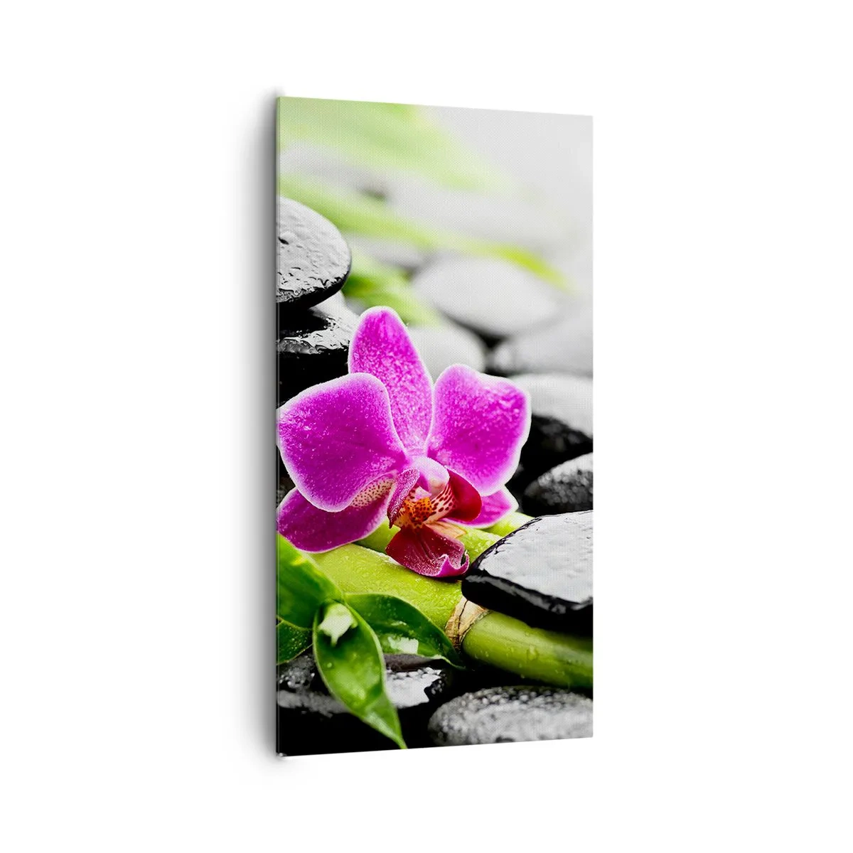 Obraz na płótnie - W spokojnej równowadze - 65x120 cm