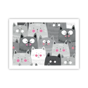 Plakat - Koci świat - 70x50 cm
