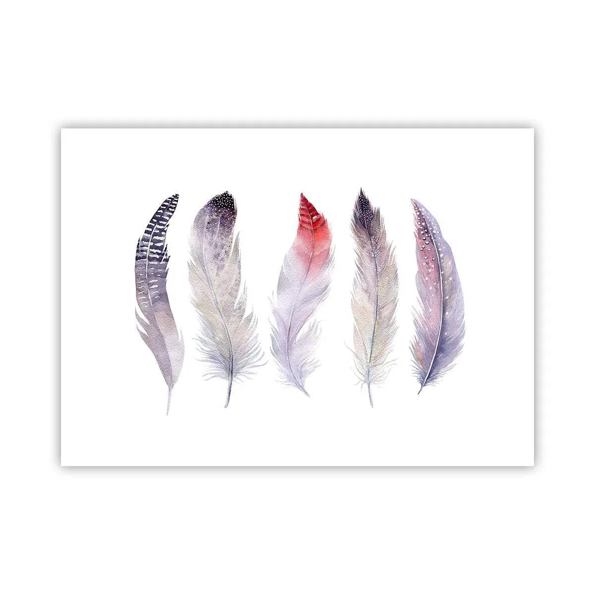 Plakat - Delikatne jak różnobarwna mgła - 70x50 cm