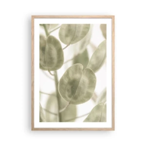 Plakat w ramie jasny dąb - Na początku były listki… - 50x70 cm