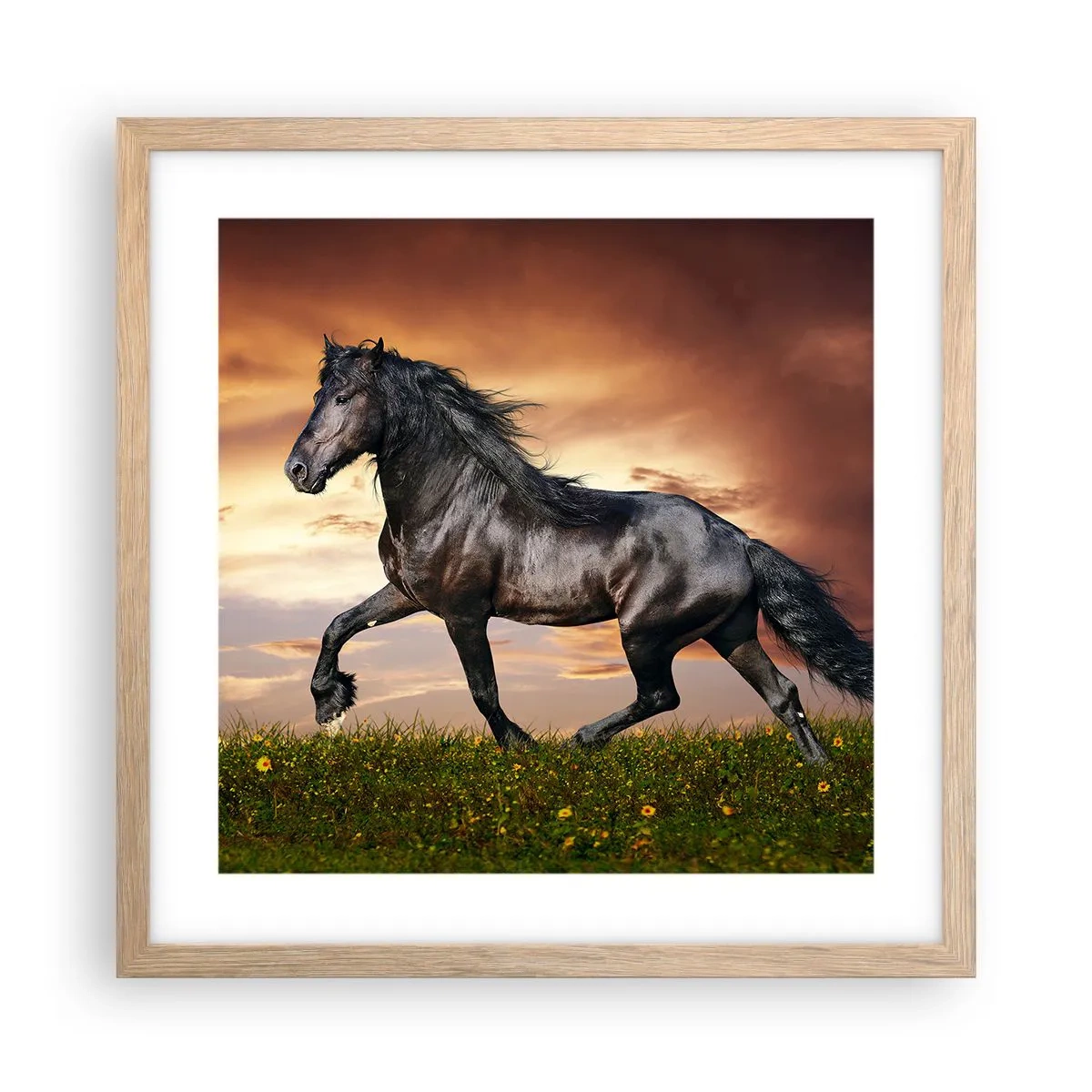 Plakat w ramie jasny dąb - Czarny książę - 40x40 cm