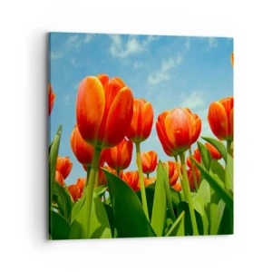 Obraz na płótnie - Oprócz błękitnego nieba nic im w życiu nie potrzeba - 70x70 cm