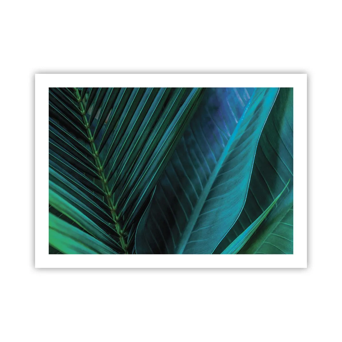 Plakat - Anatomia zieleni - 70x50 cm