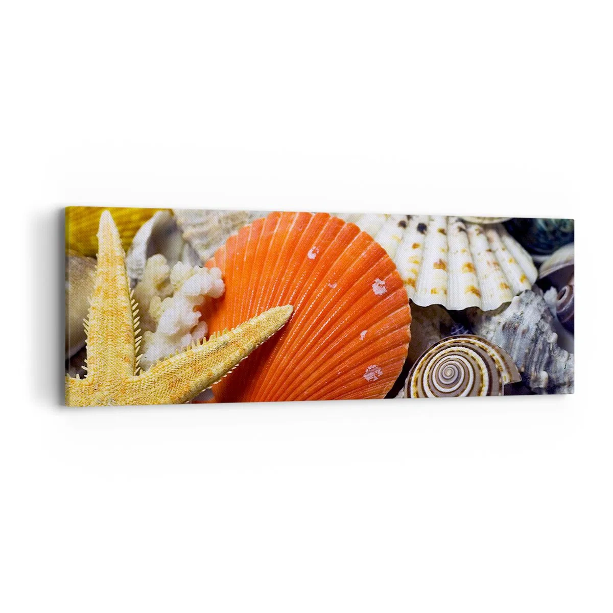 Obraz na płótnie - Skarby oceanu - 90x30 cm