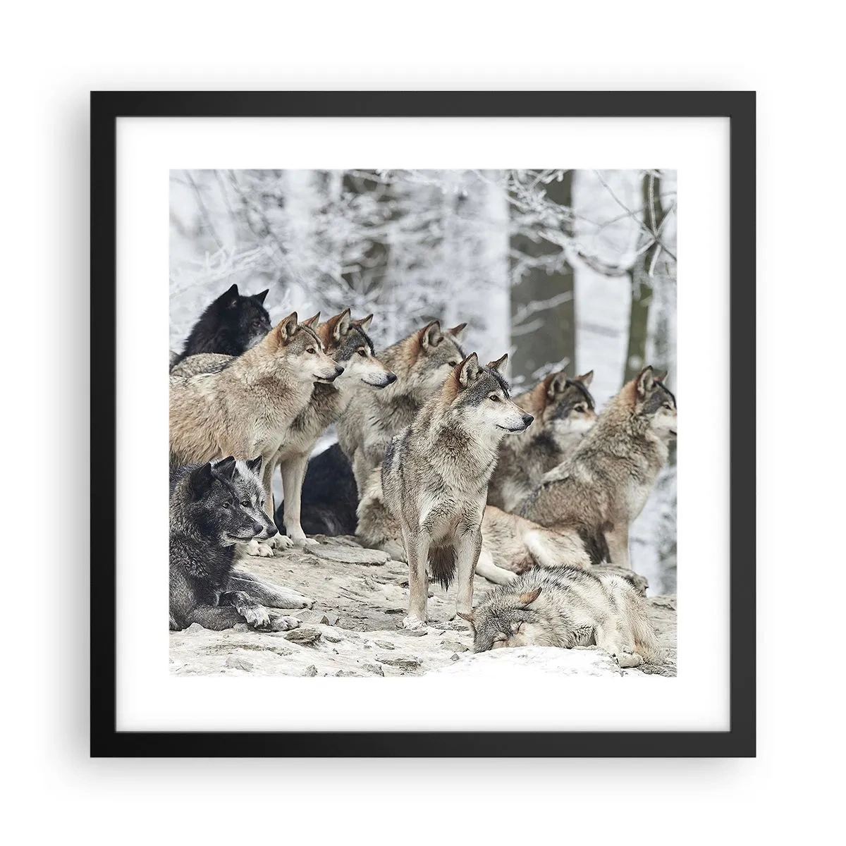 Plakat w czarnej ramie - Rodzina i przyjaciele - 40x40 cm