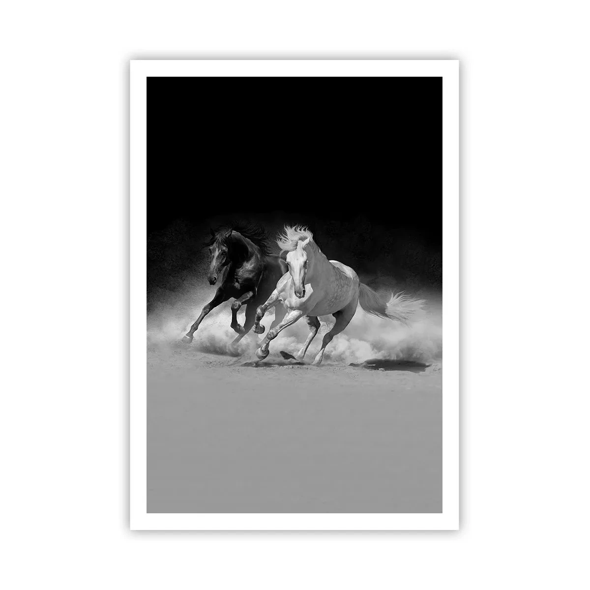 Plakat - Galop wolności - 70x100 cm
