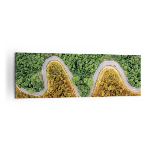 Obraz na płótnie - Zakręcona droga przez las widziana z lotu ptaka - 160x50cm - Granice i przełomy - Nowoczesna dekoracja ścienna do salonu i sypialni ARTTOR