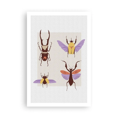 Plakat - Owadzi świat - 61x91 cm
