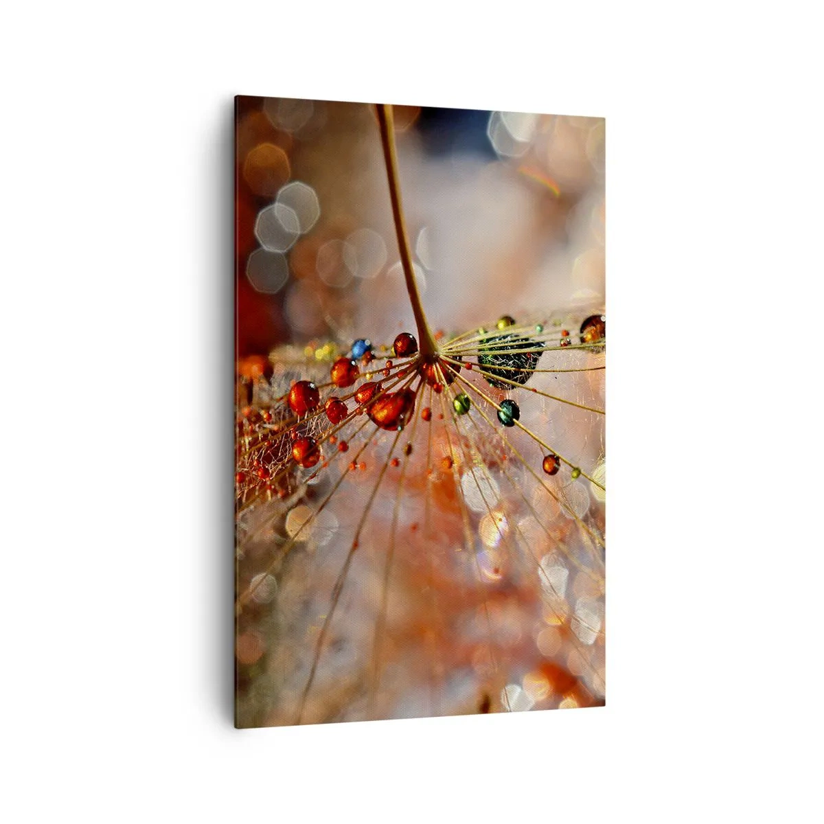 Obraz na płótnie - Makrofotografia kropli wody na delikatnej roślinie - 80x120cm - Nanizane na pajęczą nić - Nowoczesna dekoracja ścienna do salonu i sypialni ARTTOR