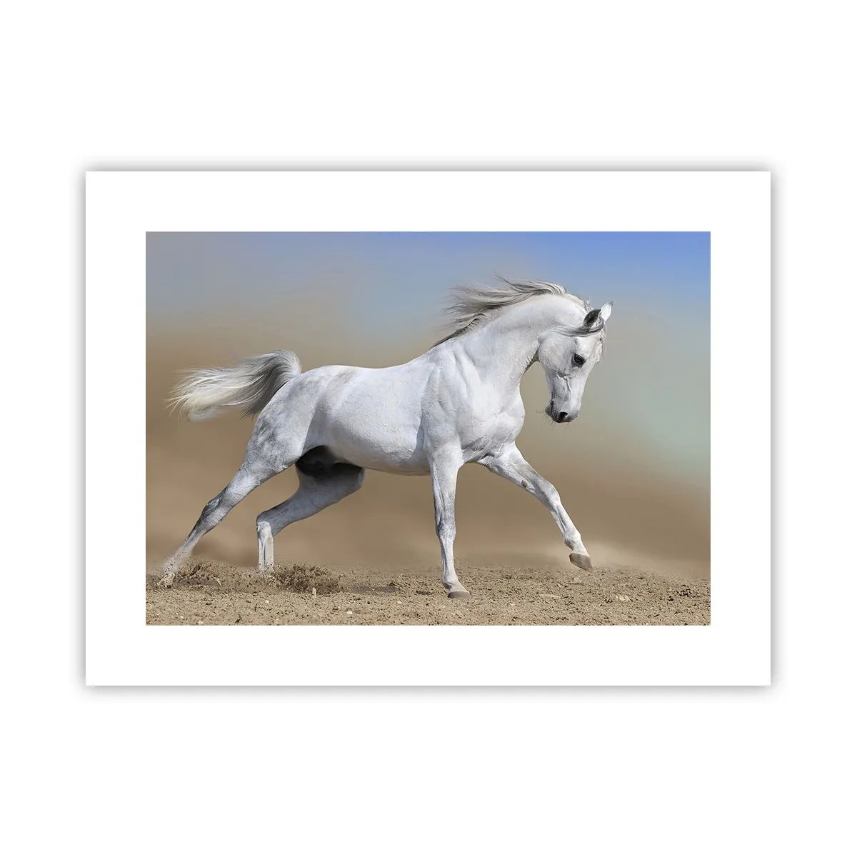 Plakat - Najpiękniejsza arabska baśń - 40x30 cm
