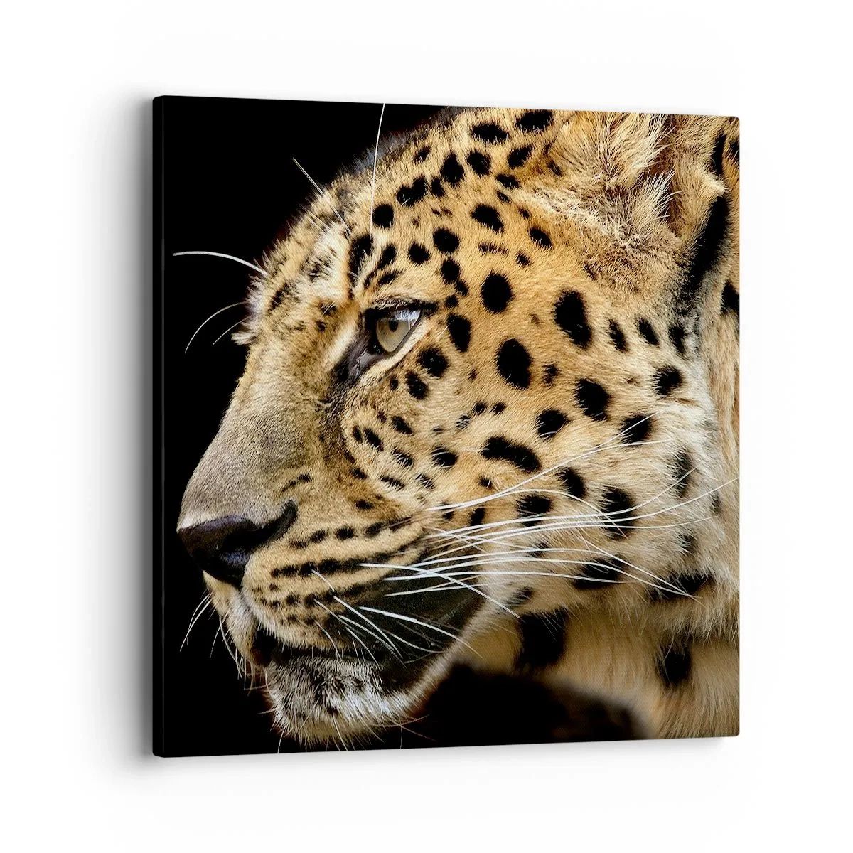 Obraz na płótnie - Spokojny, skupiony, gotowy - 40x40 cm