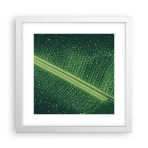 Plakat w białej ramie - Struktura zieleni - 30x30 cm