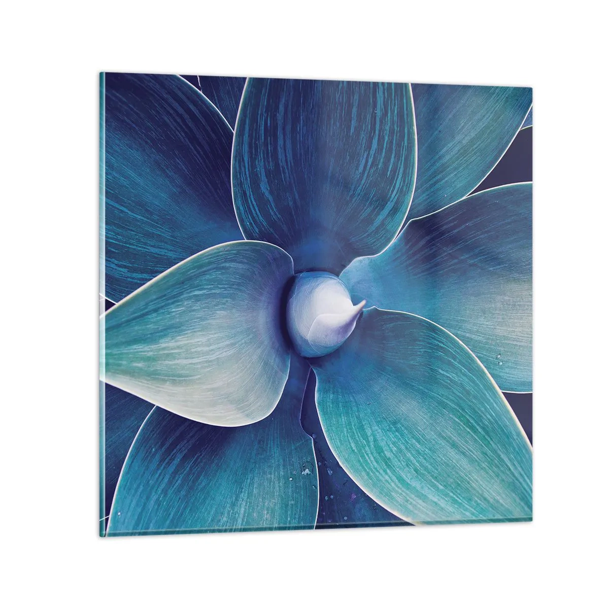 Obraz na szkle - Zbłękitniały od nieba - 70x70 cm